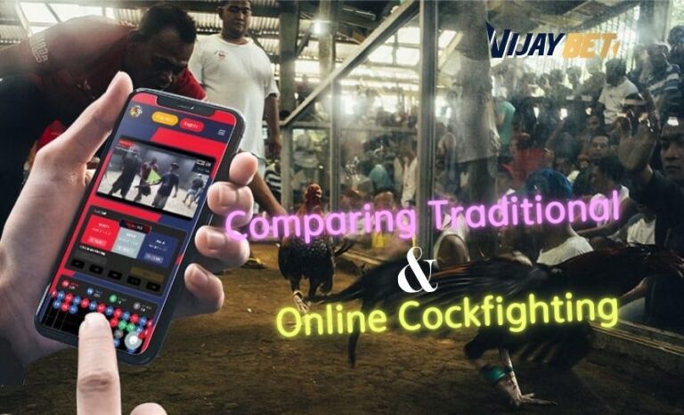Vijaybet Cockfight